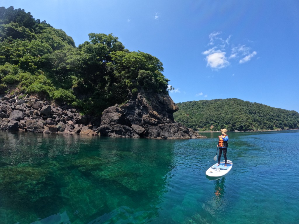 緑の岬沿いをSUPで進む様子